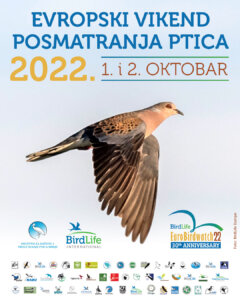 Evropski vikend posmatranja ptica : 1. i 2. oktobar vikend posvećen posmatranju ptica